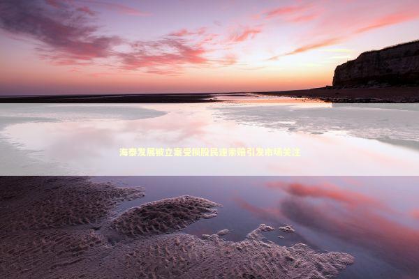 海泰发展被立案受损股民速索赔引发市场关注 新闻