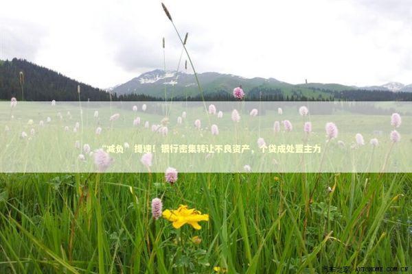 “减负”提速！银行密集转让不良资产，个贷成处置主力 新闻