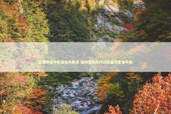 信息洪流中的迷失与焦虑 如何借助及时动态重获生活平衡