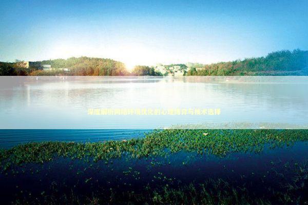 深度解析网络环境优化的心理博弈与技术选择 IT技术