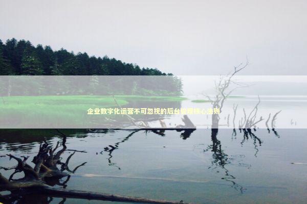 企业数字化运营不可忽视的后台管理核心法则 企业服务