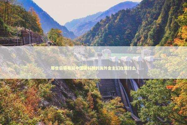 那些偷偷布局中国硬科技的海外金主们在想什么