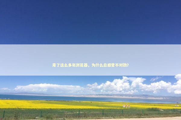 用了这么多年浏览器，为什么总感觉不对劲？ IT技术