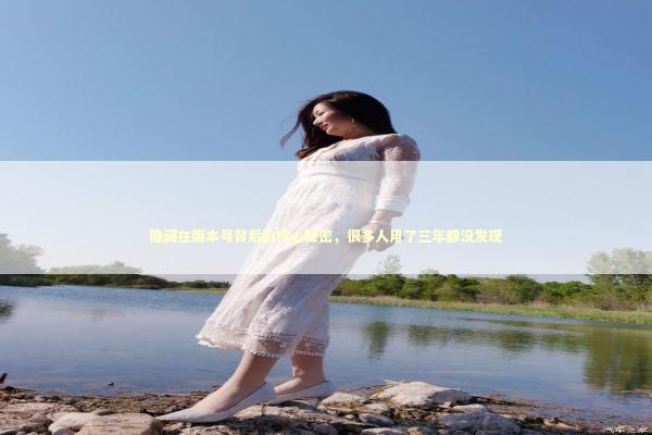 隐藏在版本号背后的核心秘密，很多人用了三年都没发现 IT技术